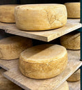 Cinnamon Ridge Select Wheel — Wholesale