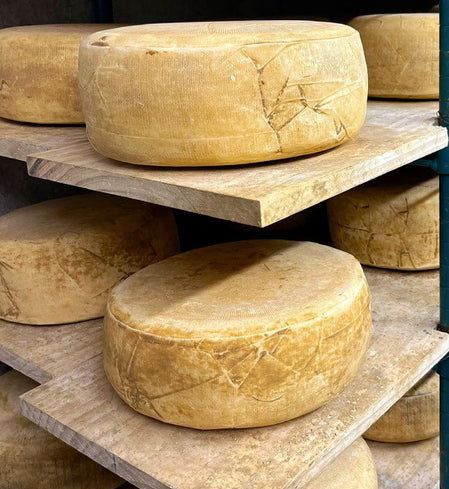 Cinnamon Ridge Select Wheel — Wholesale